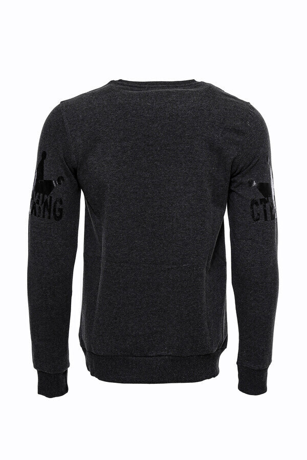 Sudadera entallada con estampado gris oscuro - Wessi