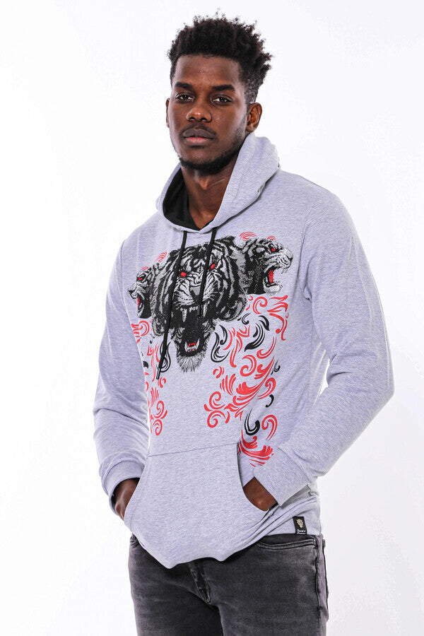 Sudadera con capucha estampada en gris plateado - Wessi