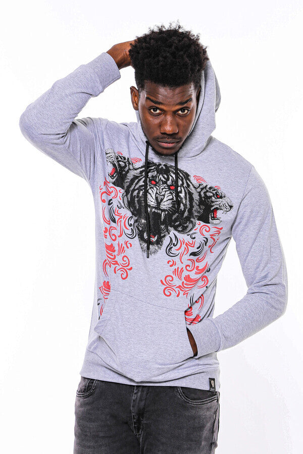 Sudadera con capucha estampada en gris plateado - Wessi