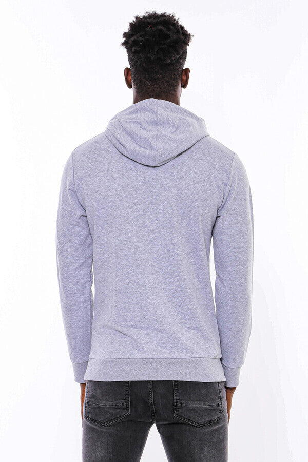 Sudadera con capucha estampada en gris plateado - Wessi