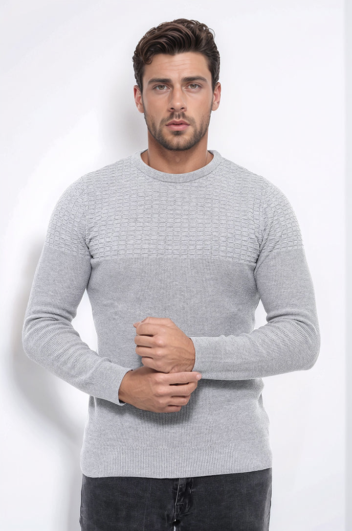 Circle Neck Patterned Light Grey Men Knitwear - Wessi