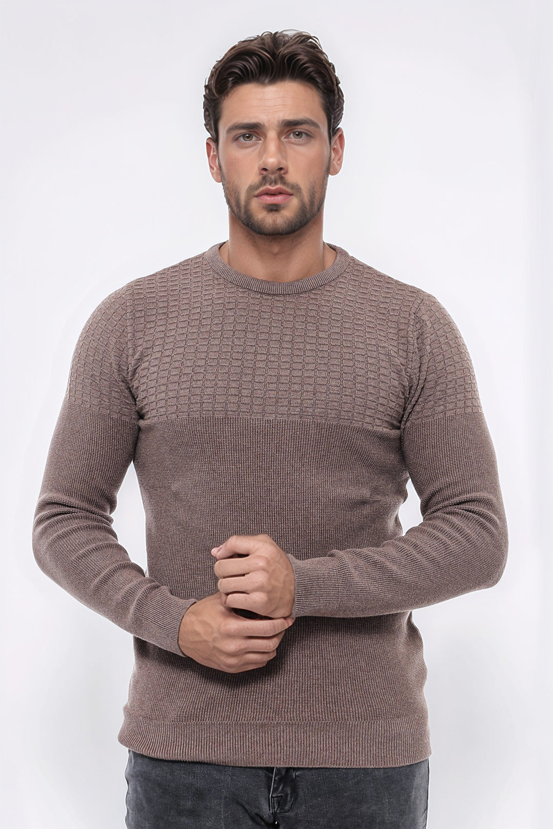 Circle Neck Patterned Mink Men Knitwear - Wessi