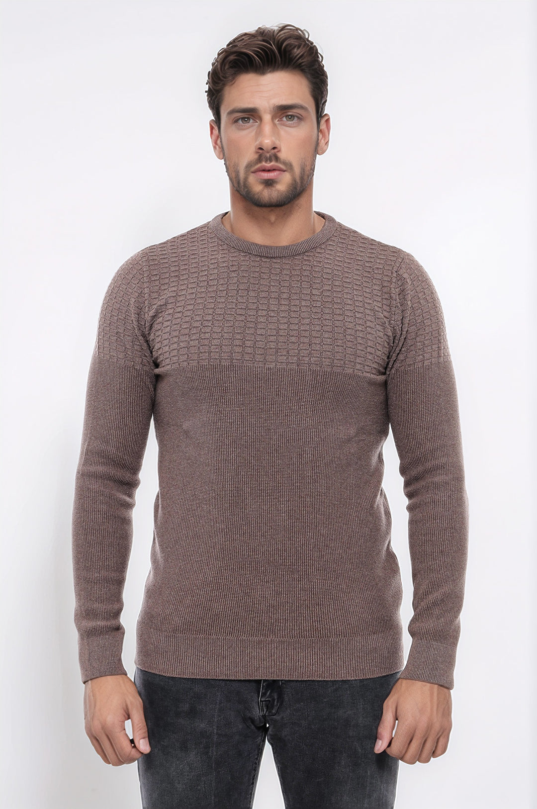 Circle Neck Patterned Mink Men Knitwear - Wessi