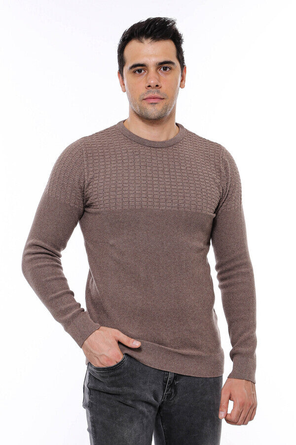 Circle Neck Patterned Mink Men Knitwear - Wessi