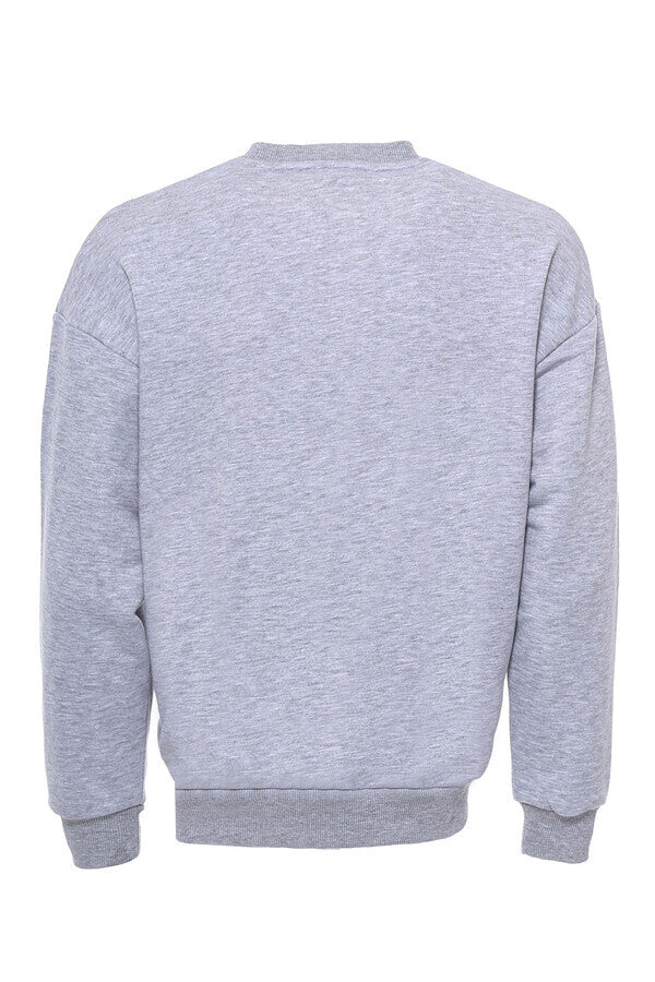 Sudadera con cuello redondo gris bordada para hombre - Wessi