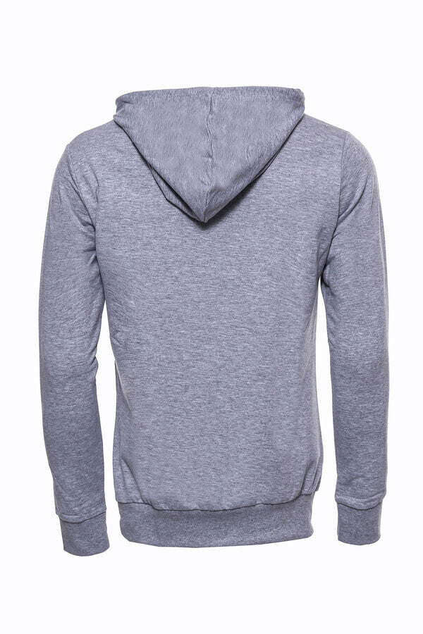 Sudadera con capucha estampada en gris plateado - Wessi